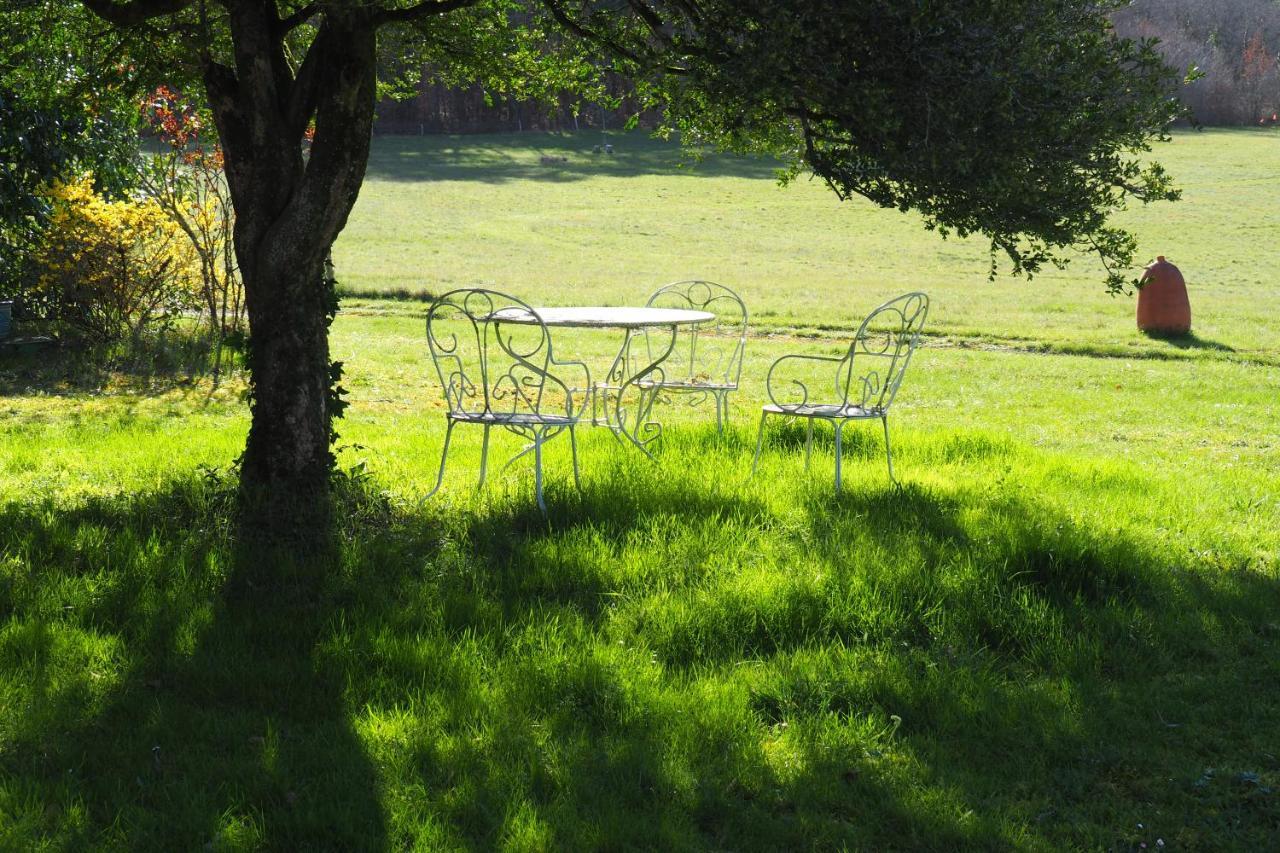 Domaine De La Charmeraie Piscine Chauffee Saint-Cirq  エクステリア 写真